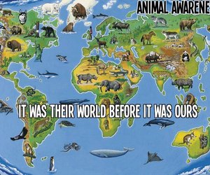 Royal Concern for Environment - Gansbaai Daily News